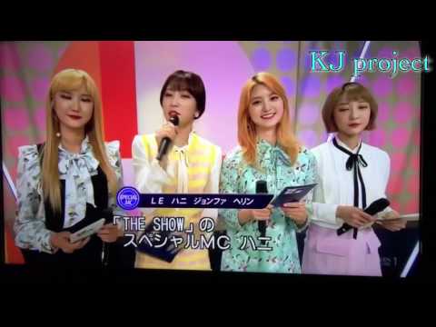 EXID 日本語での挨拶が可愛すぎる💗😍