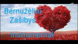 Bernužėliai - Zašibys [instrumental]