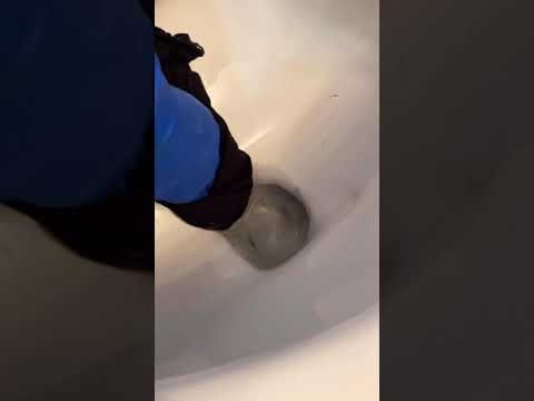 Video: Krast een schuurstokje het toilet?