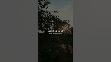 قُلْنا يا نَار كُونِي بَردًا - سورة الأنبياء - اسلام صبحي