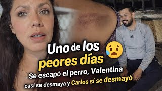 Fue demasiado😢 se escapó un perro casi muerde a vale ,Carlos termino desmayado ,vale golpeada 😢😢