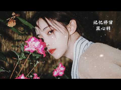 【#记忆停留 #蓝心羽 】 #记忆好像过了很久好像从没为我停留我不想承受所有的痛又不是我的错 #不知道要冷多久美好定在哪一个路口想要捕捉爱的瞬间也许有悬念不用你来可怜我