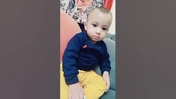 بم بم حيوانات 