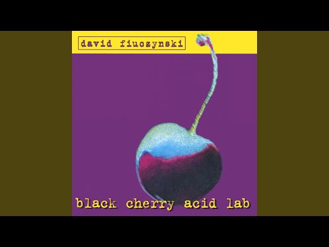 David Fiuczynski — Bollocks