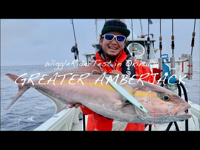 和歌山県御坊オーシャンキッズ ジギングで超絶美味カンパチ ヨコワ狙い ぼしおチャンネル初ゲストはジギング初挑戦のせいマール 奇跡は目の前に Litetube