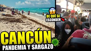Cancún: Así intentan frenar los contagios en la Riviera Maya, sargazo ahoga las playas