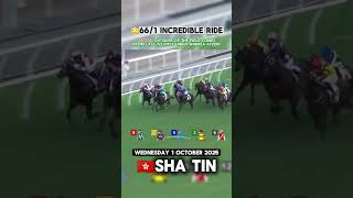 Incredible Ride, Under Hands And Heels -Andrea Atzeni And Kempes661 Ped Every Rival To Win