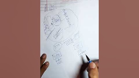 Input Devices || Computer Science || Class 11th || CBSE