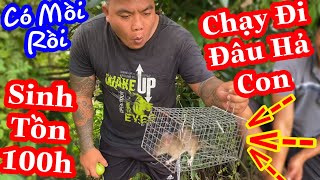 TXTV - Thánh Xàm Bẫy Được Chuột Đồng Làm Bữa Cơm Chuột Đồng Dân Dã Dồng Ruộng | Sinh Tồn Ngày 3