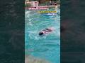 Baddie samaj ki swimming classes 💅✨#viral #trending #fitness #baddie #grwm #swimming #ytshorts