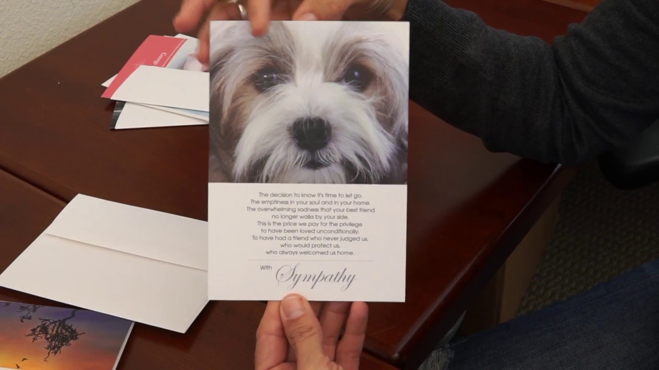 Greeting Card Universe Any Card Imaginable April 2018 YouTube Greeting card universe any card imaginable april 2018 youtube