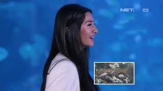 Seru Banget Fanny Ghasani Cobain Sea Walker (3/4)