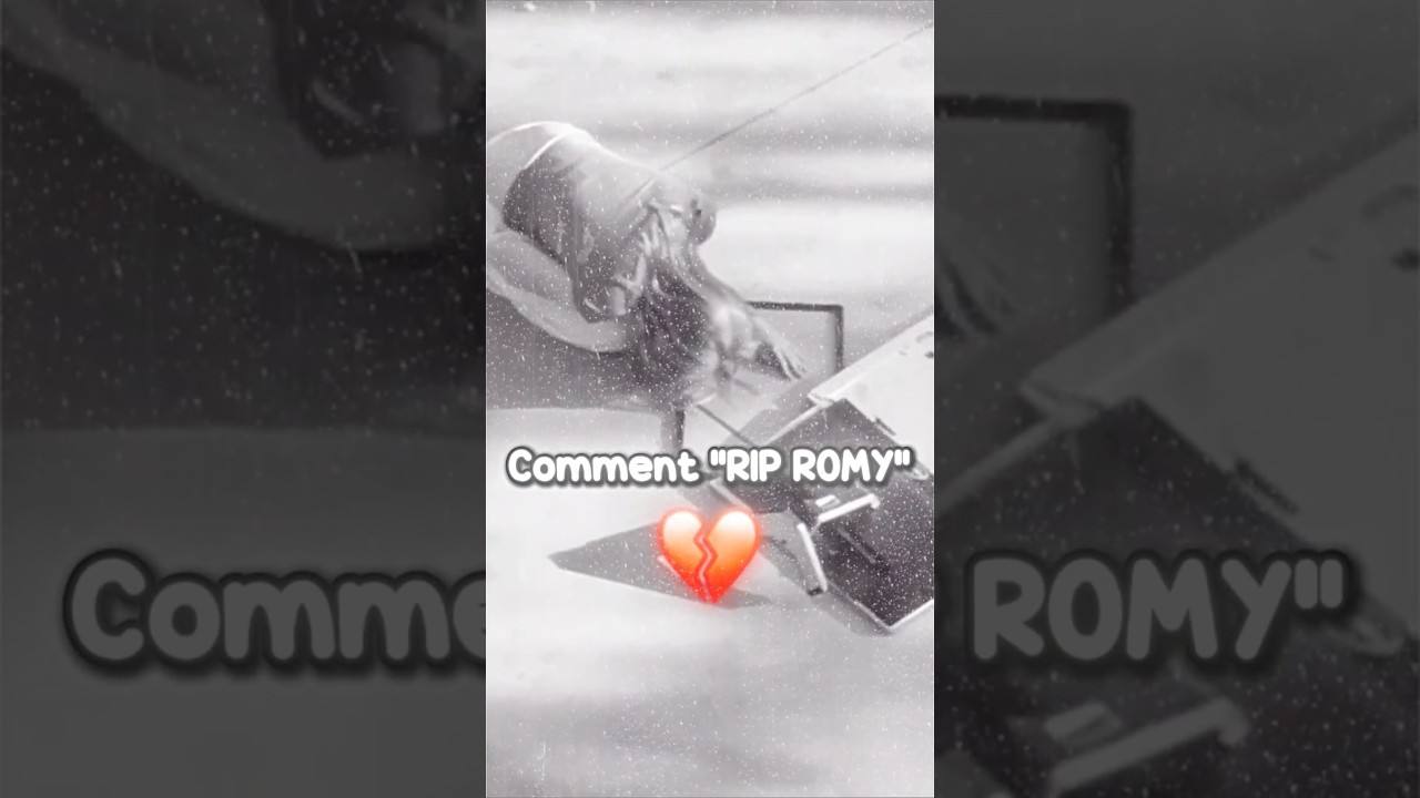 When ROMY Had The Worst Day EVER.. 