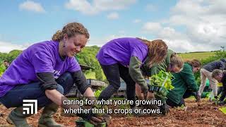 Ripple Effect’s Harvest Appeal