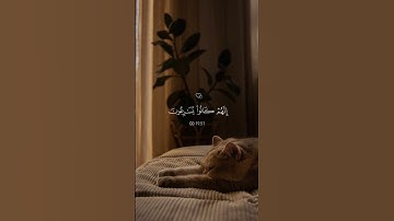 القران الكريم #فلسطين حرة #رمضان كريم #متابعين اسماء #جمعة طيبة