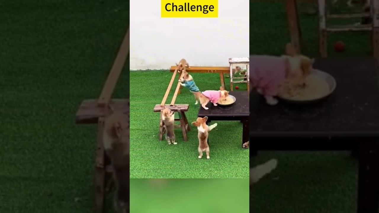 eating challenge 