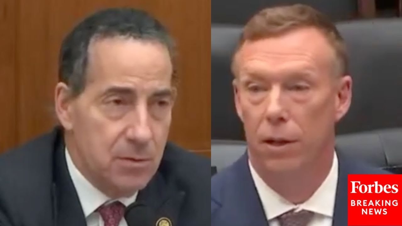 'What Problem Was It Addressing?': Jamie Raskin Asks Census Attorney About Differential Privacy