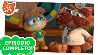 44 Gatti | EPISODIO COMPLETO | Febbre da gatto | Serie 1 Episodio 11