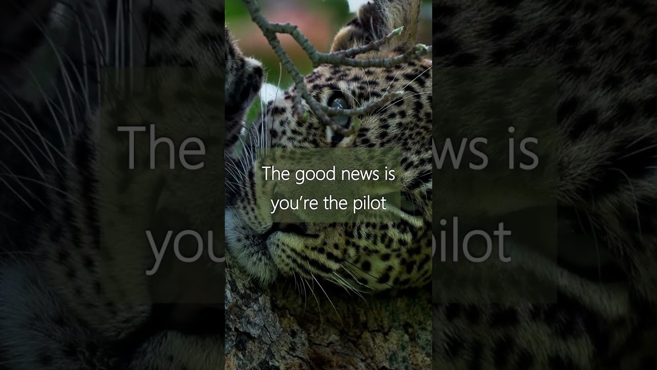 The bad news is time flies....  