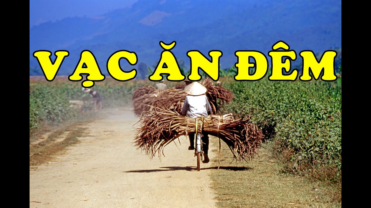 Hồi Ký Miền Nam | Vạc Ăn Đêm