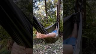 Ecotherapy 365/278 : Presence