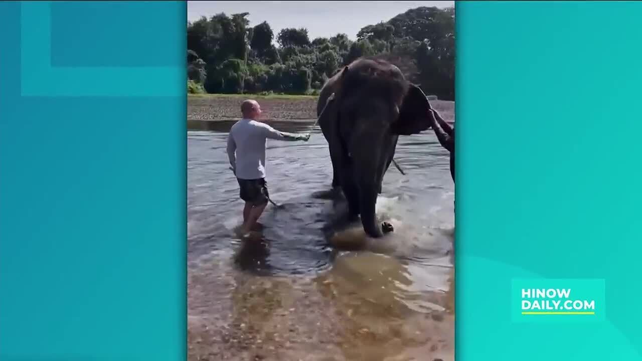 Catching up with Lanai Tabura (Part 2) YouTube