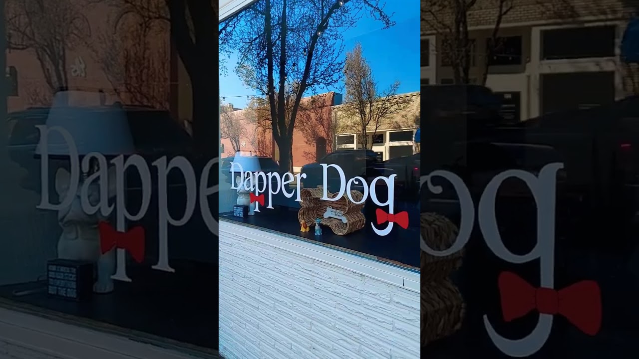 Dapper Dog 🐕 Five Star Rating Independence Oregon Best Professional Dog Grooming