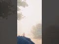 Teri yado me sari rat gujar jati hai#ytshorts #morning #sardi