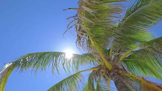 1717 N  Fort Lauderdale Blvd., Fort Lauderdale Fl 33305  $7.500.000