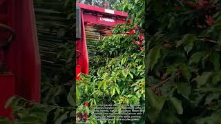 Modern Agriculture || Coffee Harvester