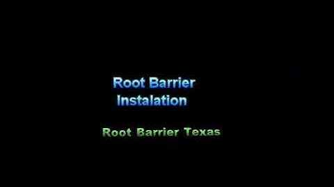 Root barrier