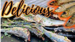Pier Fishing SARDINES!  Everything you wanted to know!  Delicious Catch & Cook!