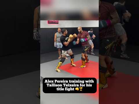 Alex Pereira training with Tallison Teixeira for his title fight vs. Ciryl Gane 🏆💪