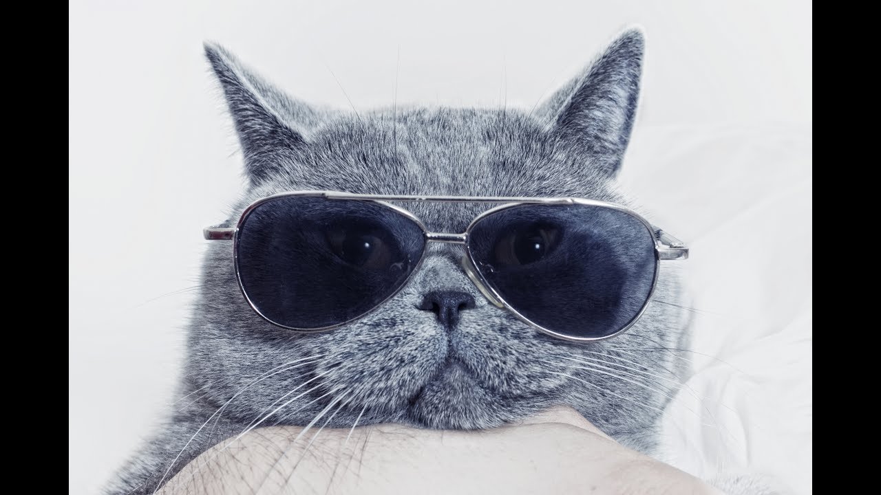 The Sunglasses Debate: Hot or Not?