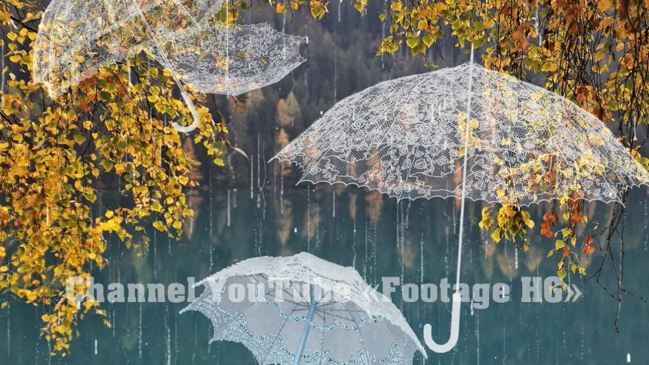 Umbrella1 (22) Transition ProShow Producer (Example / Sample) YouTube