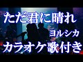 ただ君に晴れ ヨルシカ カラオケ on vocal カラオケ練習用 歌付き ボーカル入り 歌詞付き karaoke songs