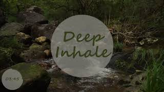Babblin Brook Bliss: Theta Binaural Beats and Cyclic Sighing for Daily Meditation and Anxiety Relief