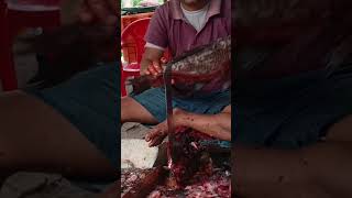 Indian fish market Kalna Indira bazar ???????❤️??????shortvideo viral shortsviral shorts
