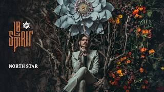 L Spirit  North Star  Visualizer