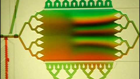 Microfluidic Transition From Fast to Slow Laminar Flow [Folch Lab]