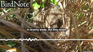 Field Sparrow Nests Climb Higher and Higher