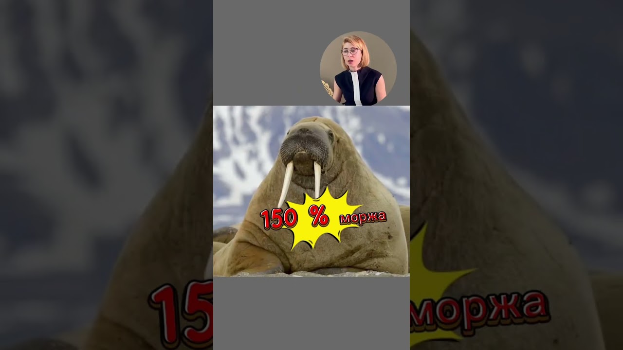 Я- продукт: программа развития себя 