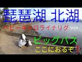 【バス釣り】琵琶湖 北湖 Vol 8 ビッグバス 間違いない！ここにおる！釣れるまでは続けます。