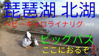 【バス釣り】琵琶湖 北湖 Vol 8 ビッグバス 間違いない！ここにおる！釣れるまでは続けます。