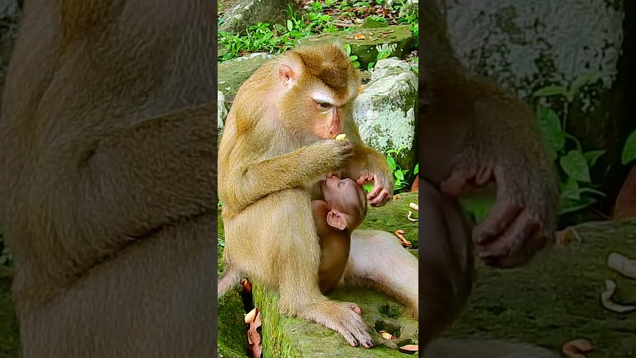 Wow Luna hug Lily ...!