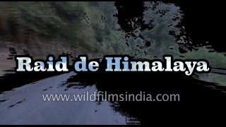 Raid de Himalaya - a short film on the greatest rally in the Himalaya