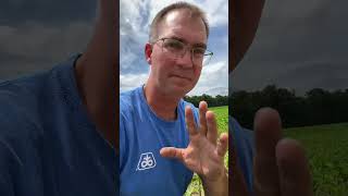 Yellow Corn and Soybeans: Dry Weather Effect on Crops. Top Crop Alliance Agronomy Updates