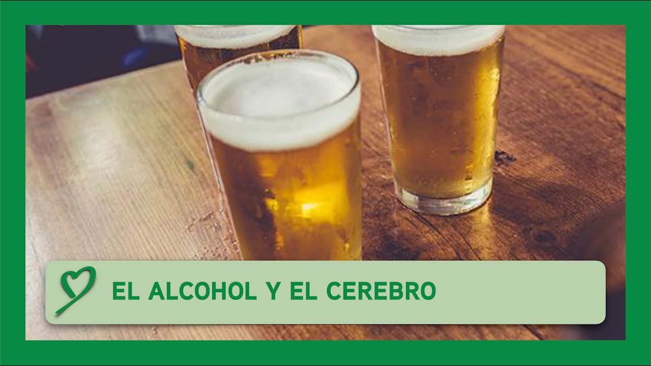 El ALCOHOL y el CEREBRO camera iphone 8 plus apk