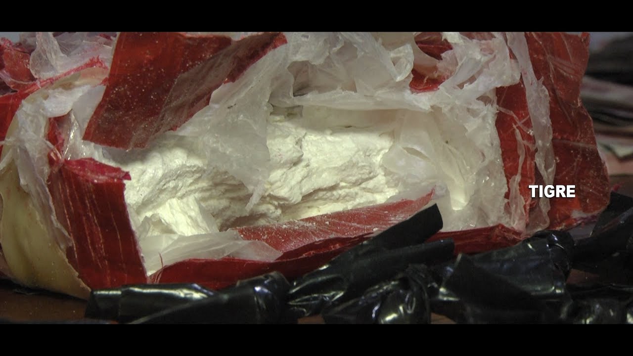 Una banda comercializaba drogas y desarmaba autos robados en Tigre