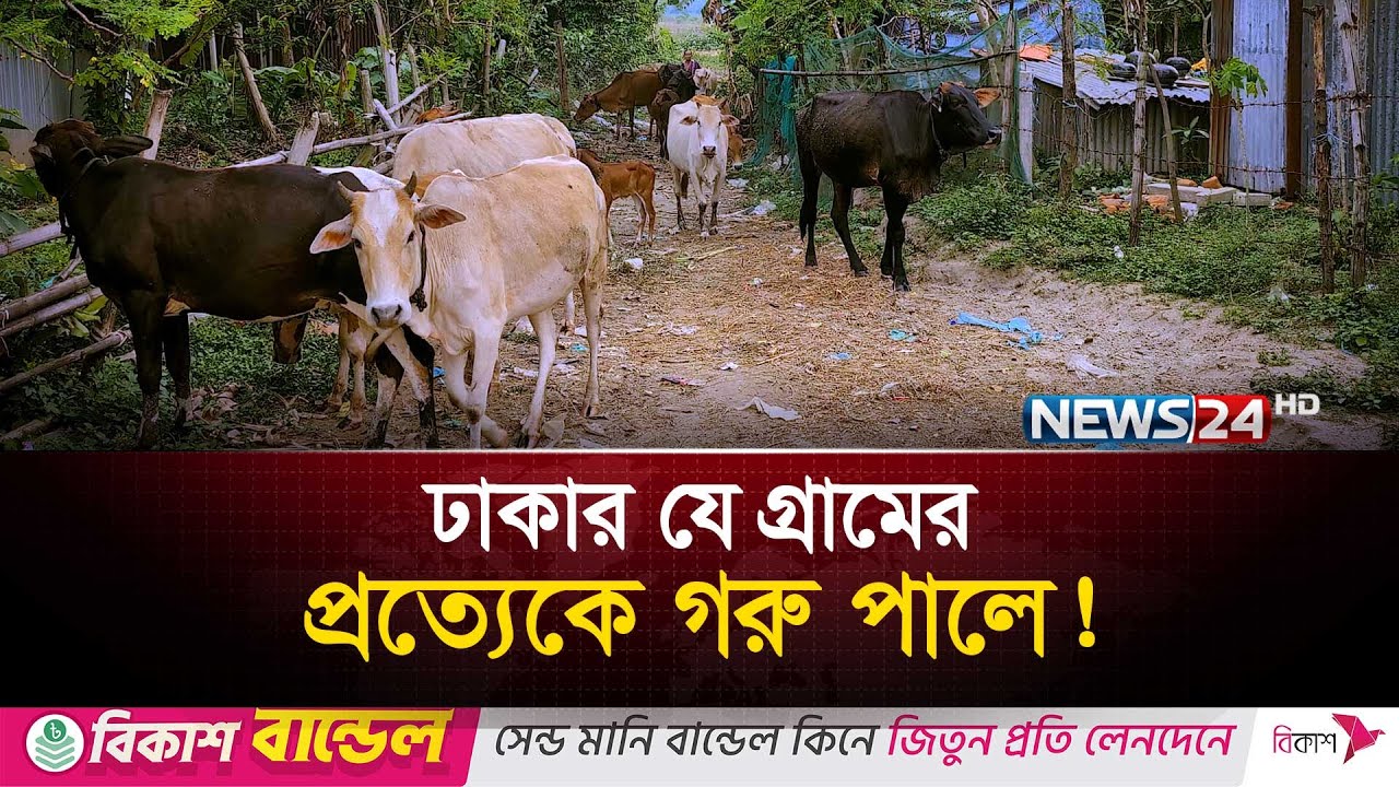 ঢাকার ভিতর অচেনা গ্রাম | News24